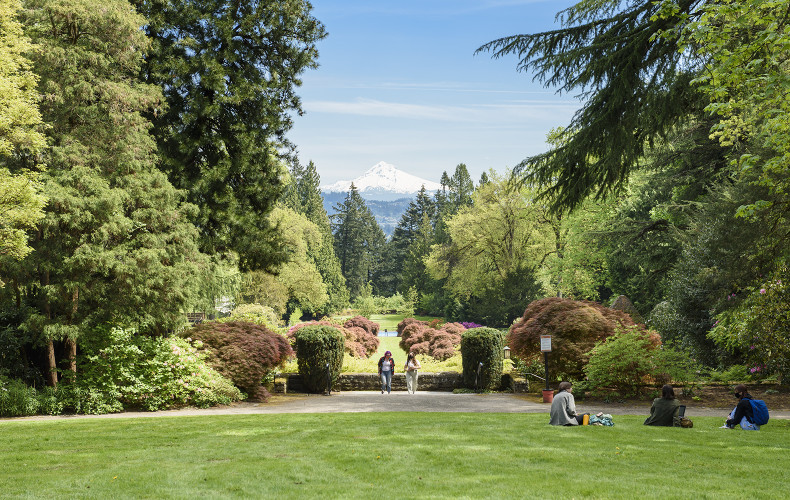 Portland's best view of Mount Hood is right in our backyard.